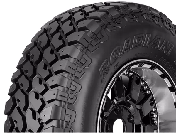 Nexen Roadian MT Tires